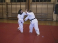 Sue Bernstien & Ann Billett  Randori NoKata